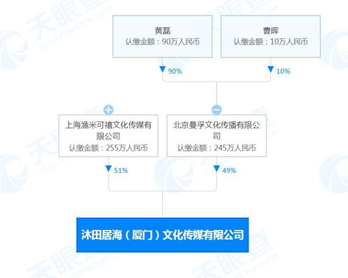 廣播電視節(jié)目制作經(jīng)營(yíng) 創(chuàng)意與管理的藝術(shù)
