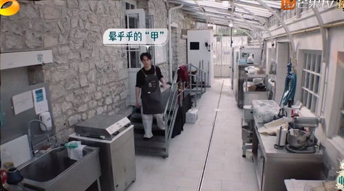 《中餐廳8》爭議升級 林述巍被鎖冷庫，導演做法引眾怒